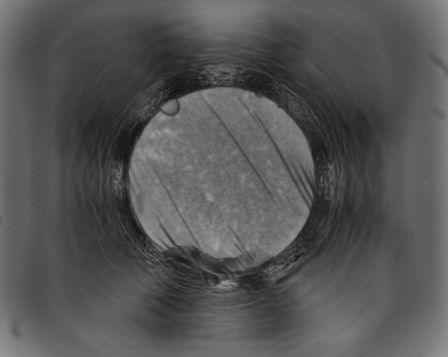 X0000094800610200712141654