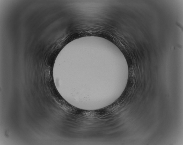 X0000094800615200712141654