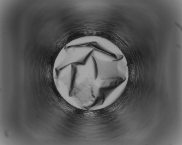 X0000094800616200712141654