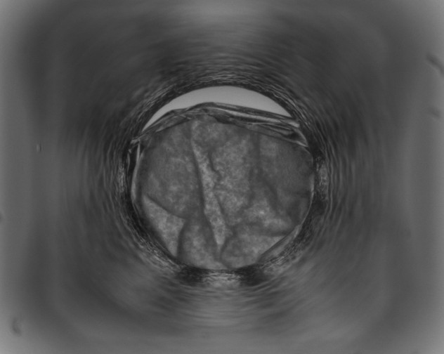 X0000094800617200712141654