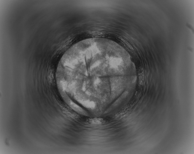 X0000094800618200712141654