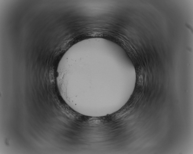 X0000094800620200712141654