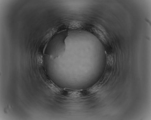 X0000094800621200712141654