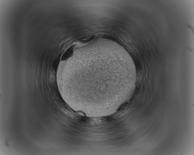 X0000094800623200712141654
