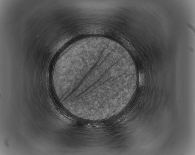 X0000094800627200712141653