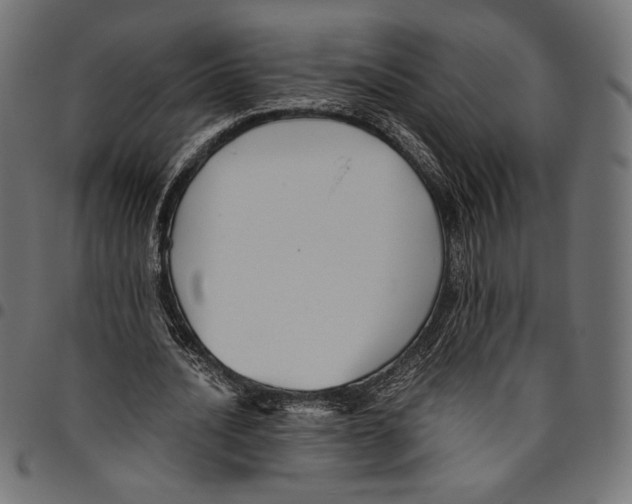 X0000094800628200712141653