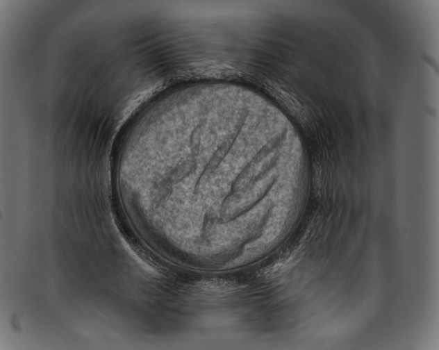 X0000094800630200712141653