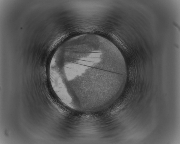 X0000094800634200712141653