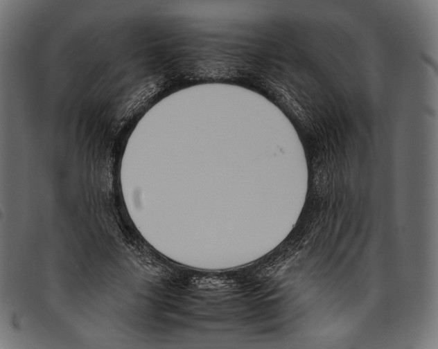 X0000094800635200712141653