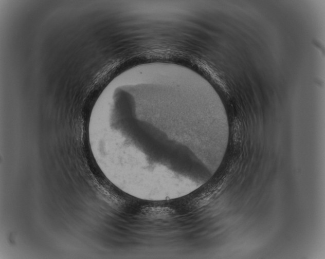 X0000094800637200712141653