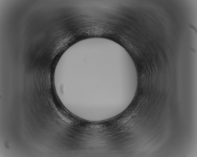 X0000094800638200712141653