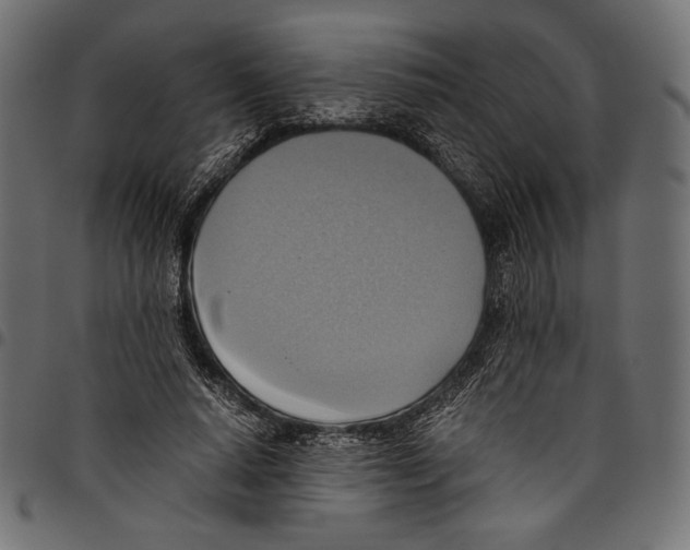 X0000094800640200712141653