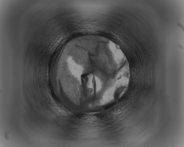 X0000094800642200712141653