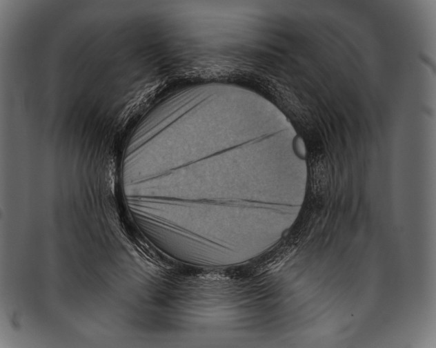 X0000094800644200712141653