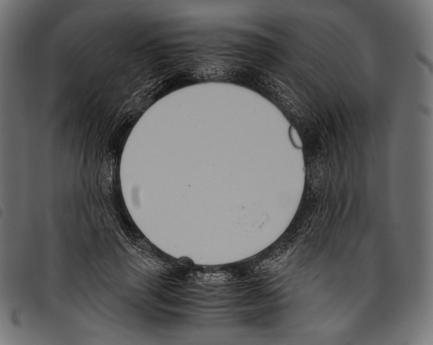 X0000094800645200712141653