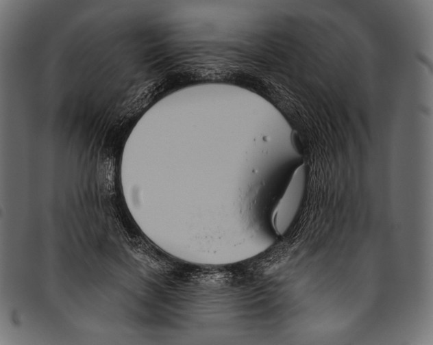X0000094800646200712141653