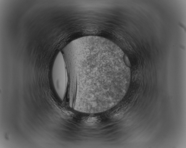 X0000094800647200712141653
