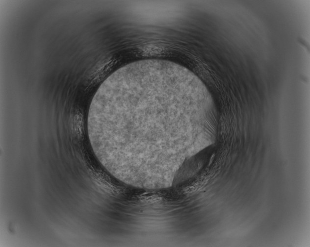 X0000094800648200712141653