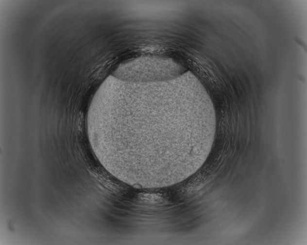 X0000094800649200712141653