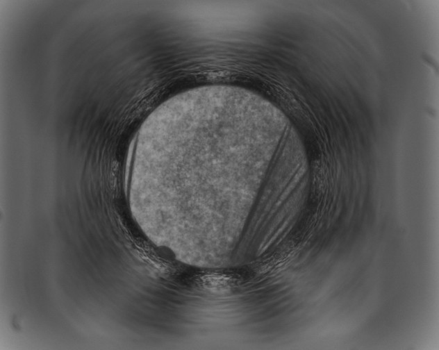 X0000094800650200712141653