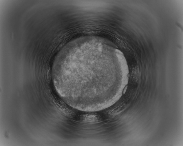 X0000094800651200712141653