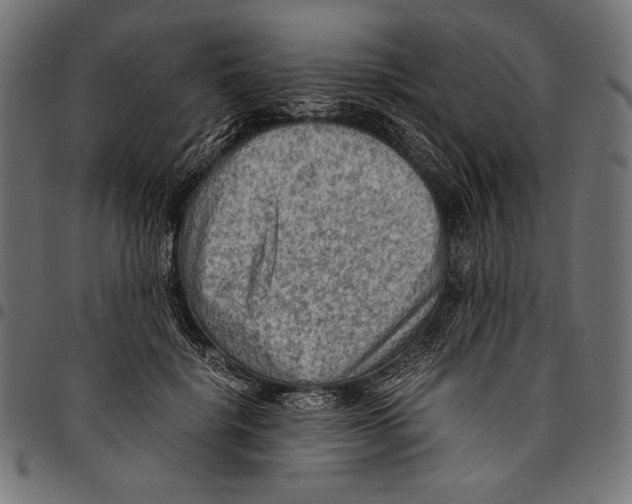 X0000094800652200712141653