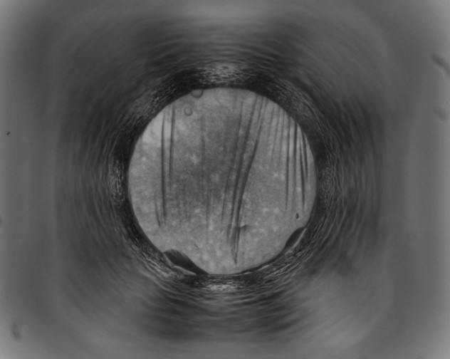X0000094800653200712141653