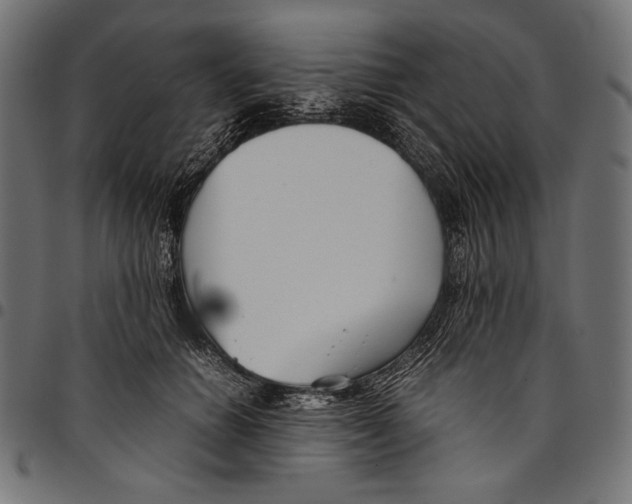 X0000094800654200712141653