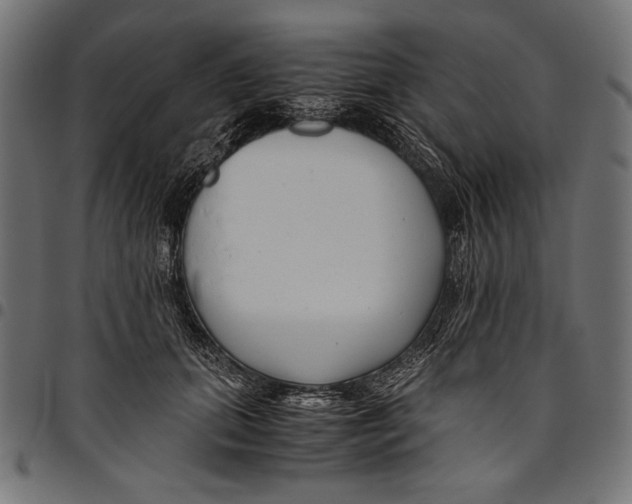 X0000094800655200712141653