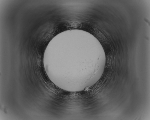 X0000094800656200712141653