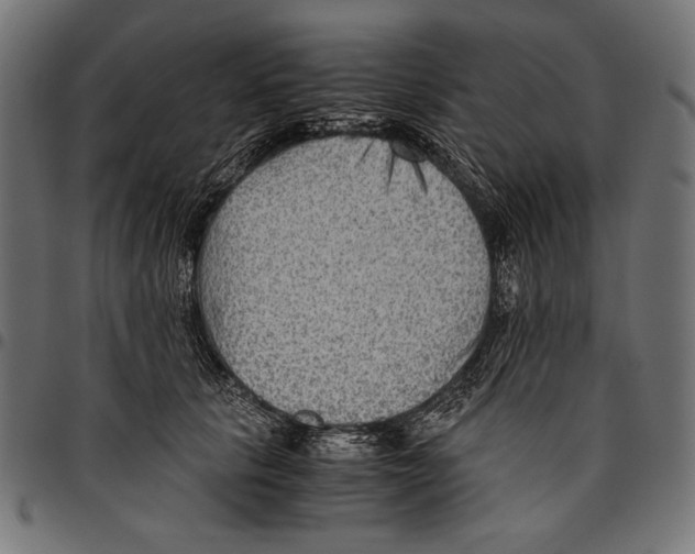 X0000094800657200712141653
