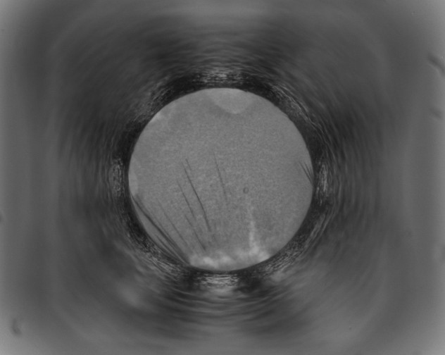 X0000094800659200712141653