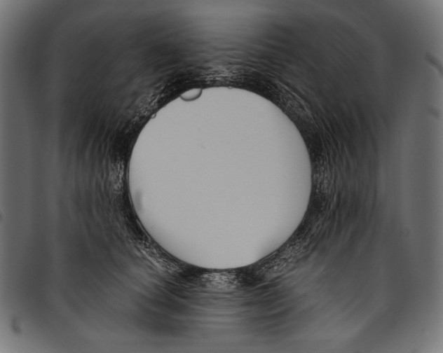 X0000094800660200712141653