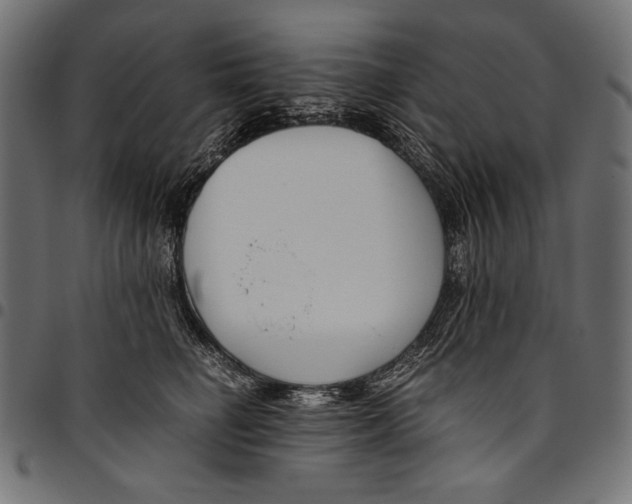 X0000094800662200712141654