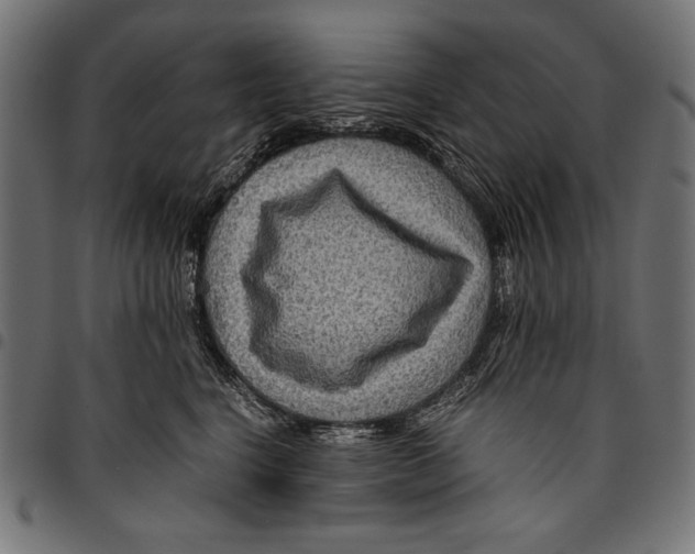 X0000094800664200712141654