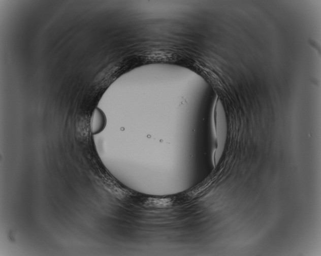 X0000094800665200712141654