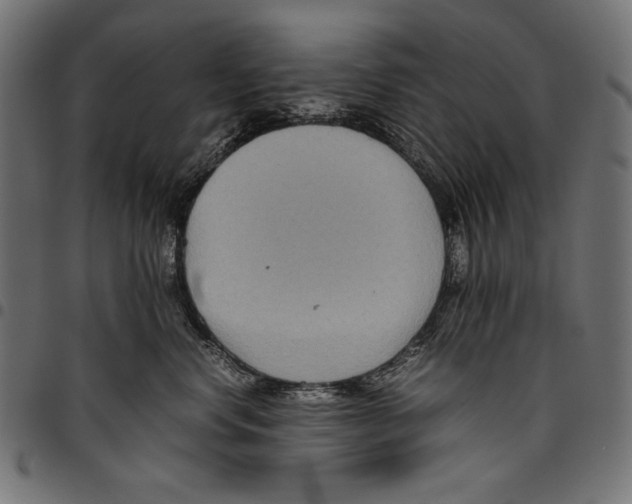 X0000094800668200712141654
