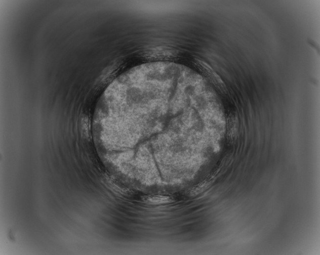 X0000094800669200712141654