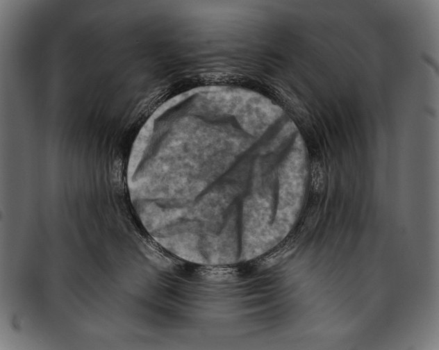 X0000094800670200712141654