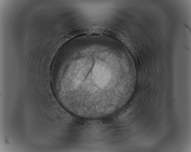 X0000094800673200712141653