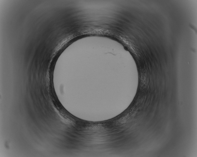 X0000094800674200712141653