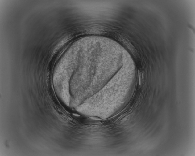 X0000094800675200712141653