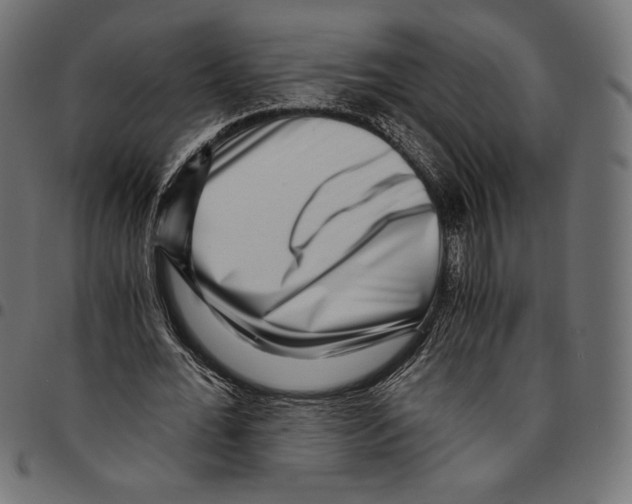 X0000094800676200712141653