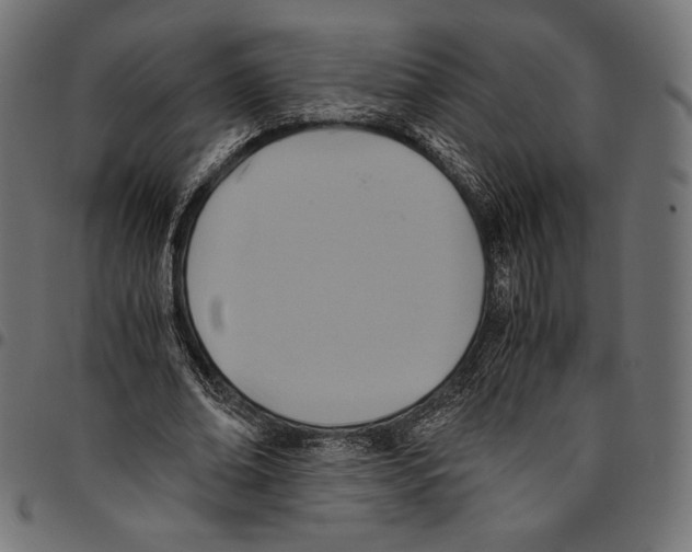 X0000094800678200712141653