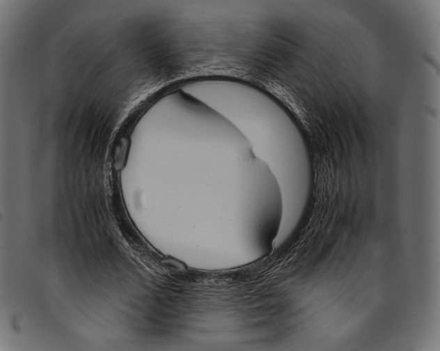 X0000094800680200712141653
