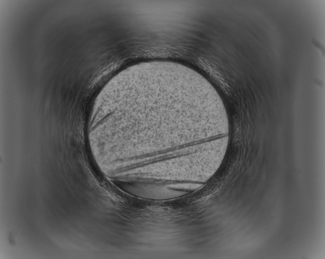 X0000094800681200712141653