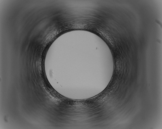 X0000094800682200712141653