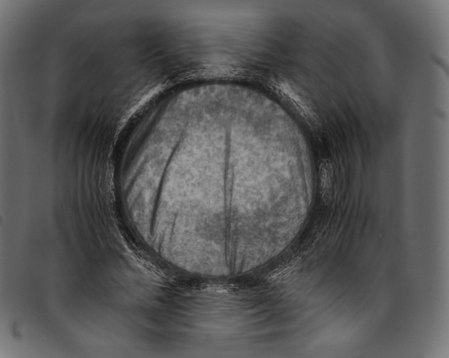 X0000094800684200712141653