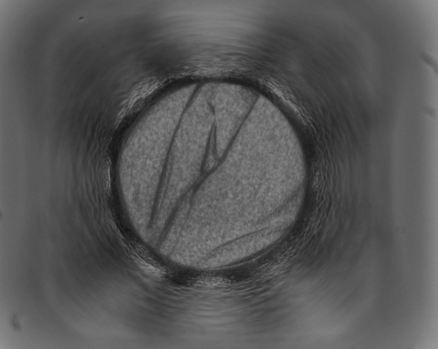 X0000094800685200712141653