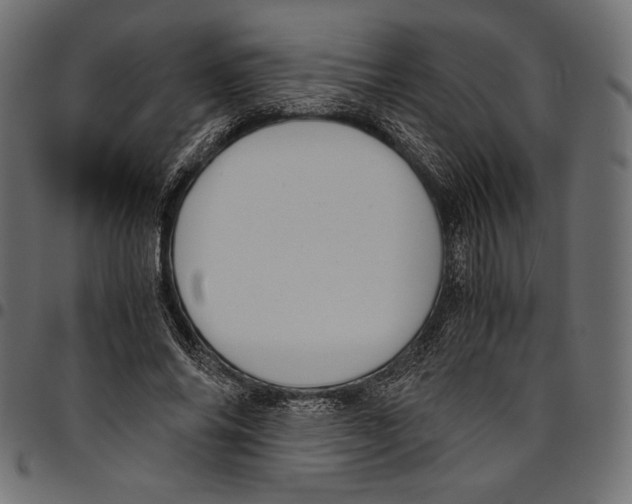 X0000094800686200712141653